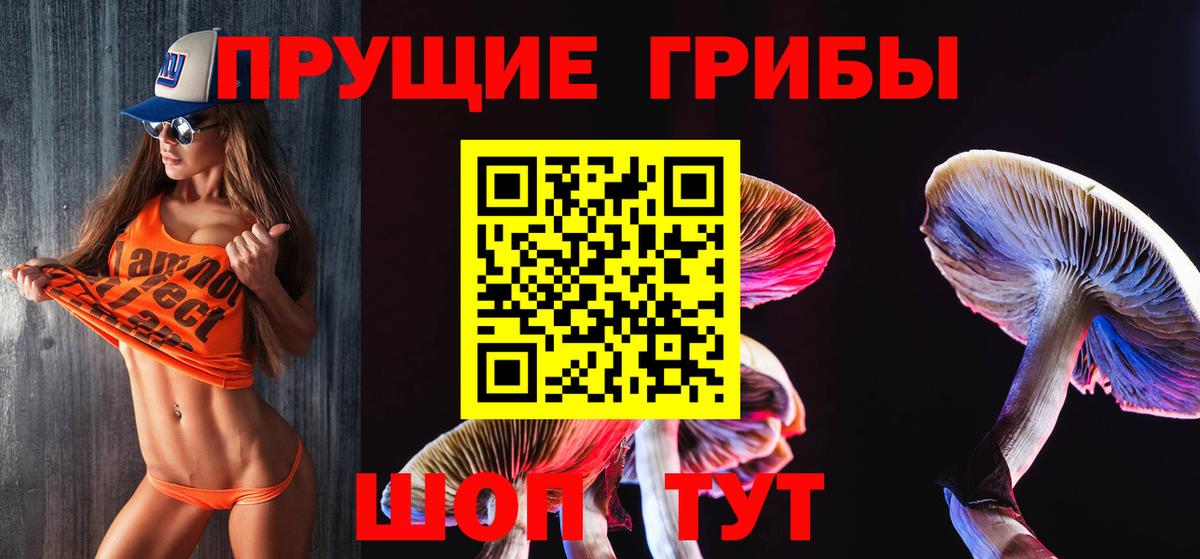 Тосно  Псилоцибиновые грибы мицелий  Вход с VPN 