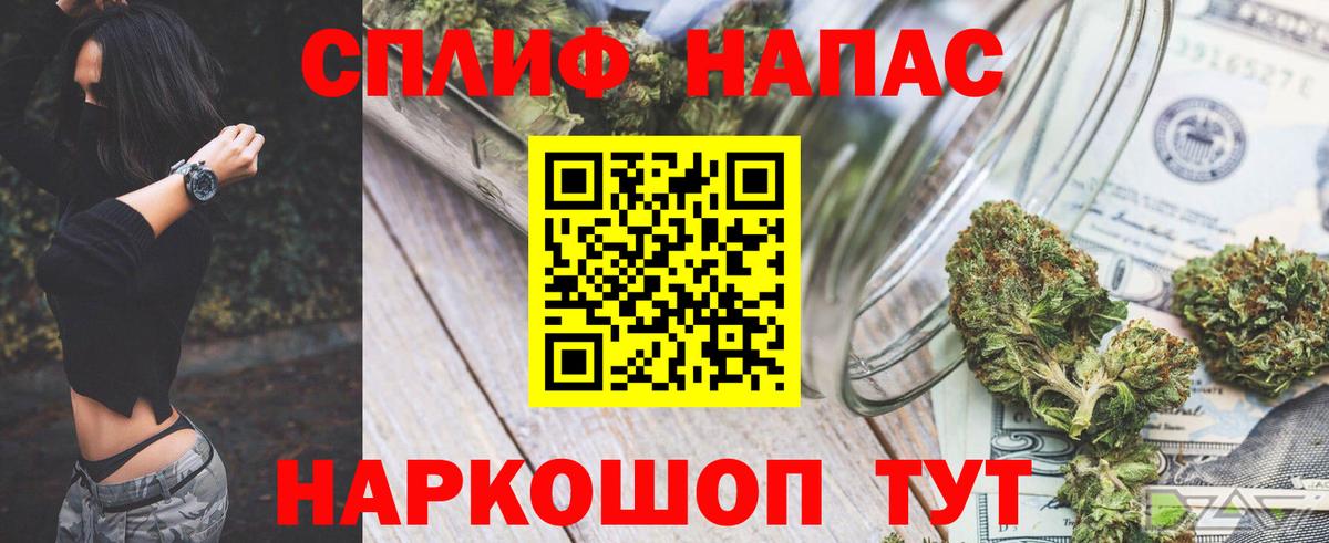 Конопля марихуана Тосно